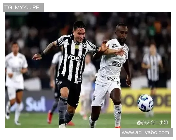 埃弗顿冬季转会瞄准博塔弗戈右后卫维蒂尼奥加强阵容